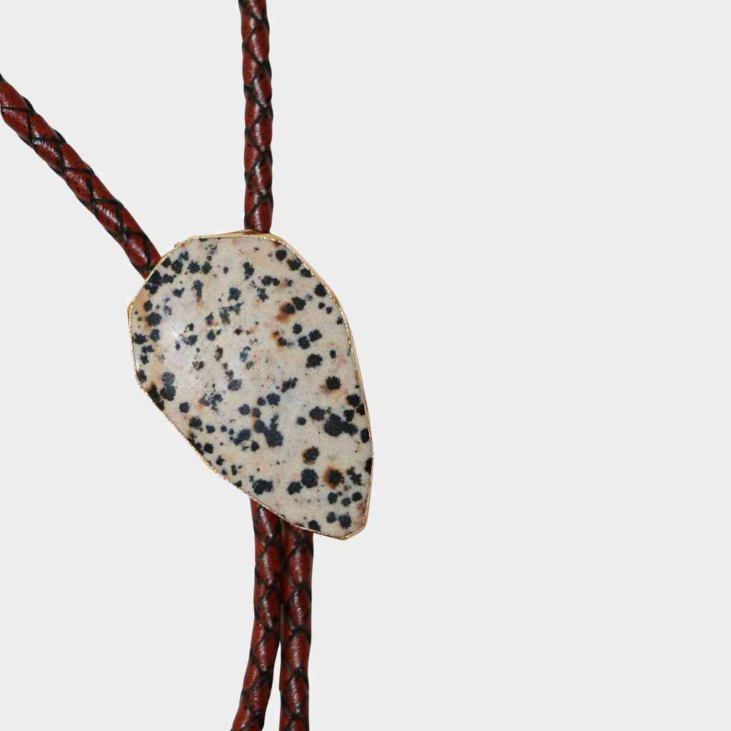 DALMATIAN || STANDARD BOLO