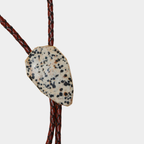DALMATIAN || STANDARD BOLO