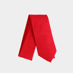 BLAZE || XL - Men's Tie