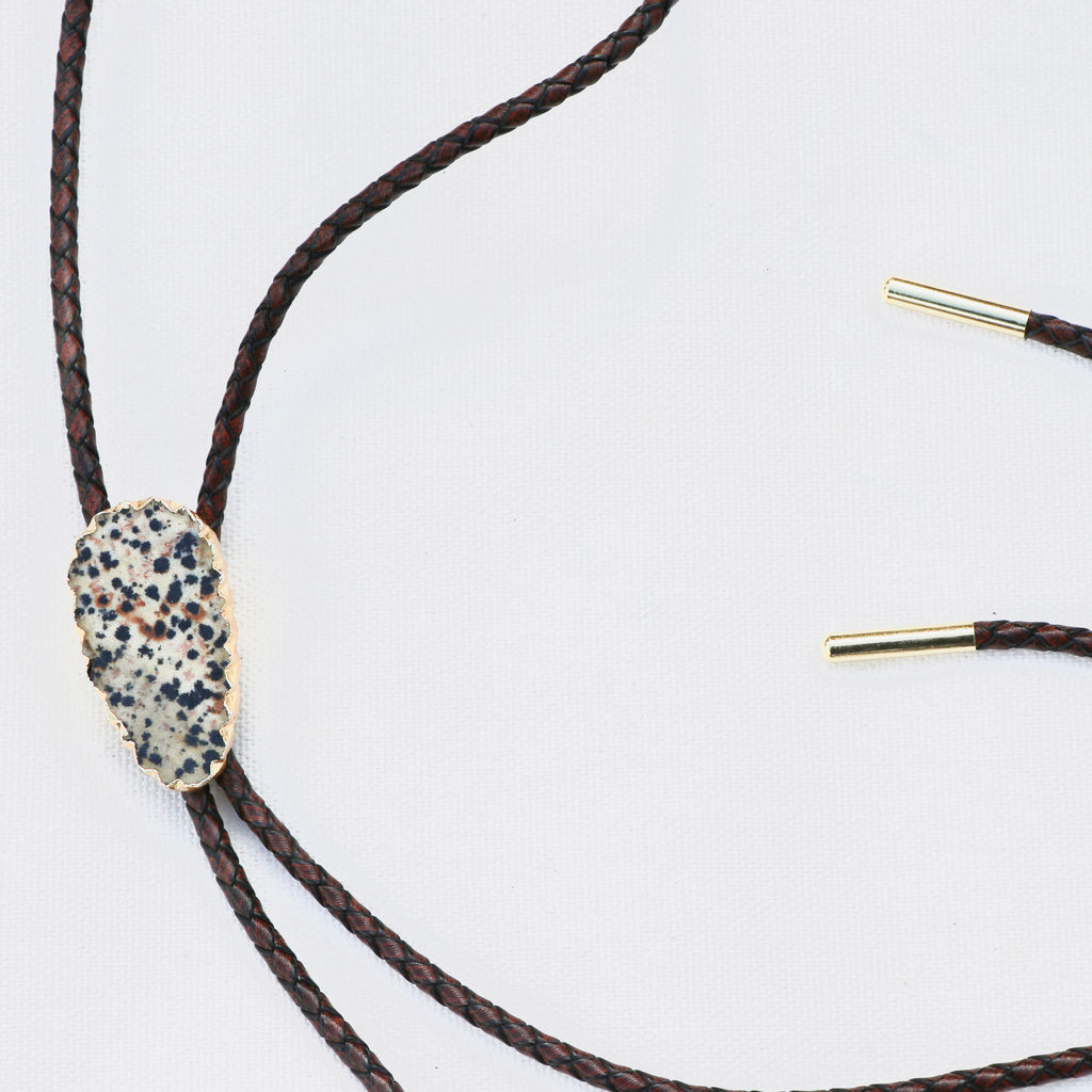 DALMATIAN || STANDARD BOLO