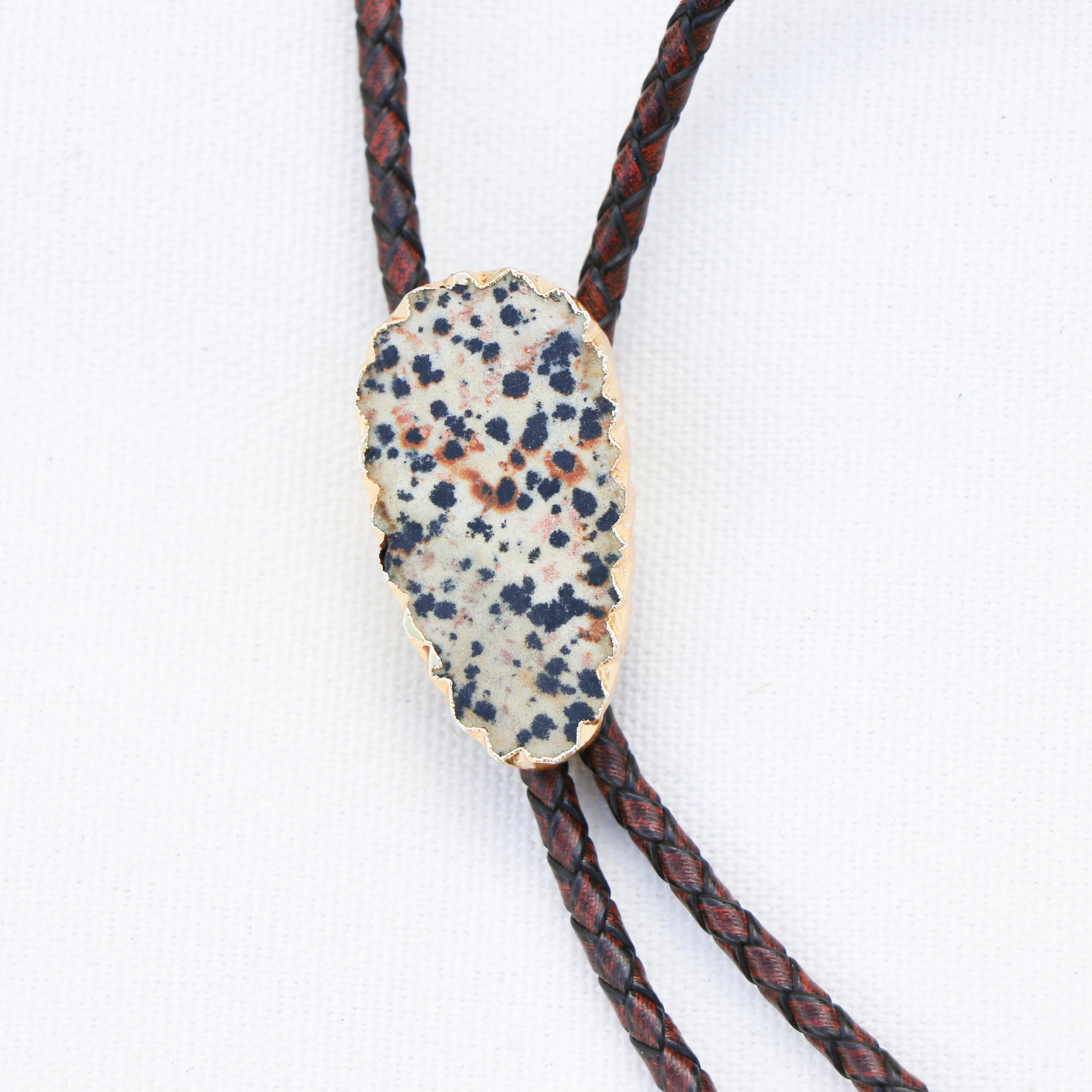 DALMATIAN || STANDARD BOLO