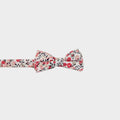 HODSON || BOY BOW TIE - Boy's Bow Tie