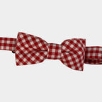 TOMMY || BOY BOW TIE - Boy's Bow Tie