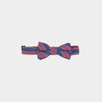 TORO | | BOY BOW TIE - Boy's Bow Tie