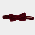 SUAVE || BOW TIE - Pet Bow Tie
