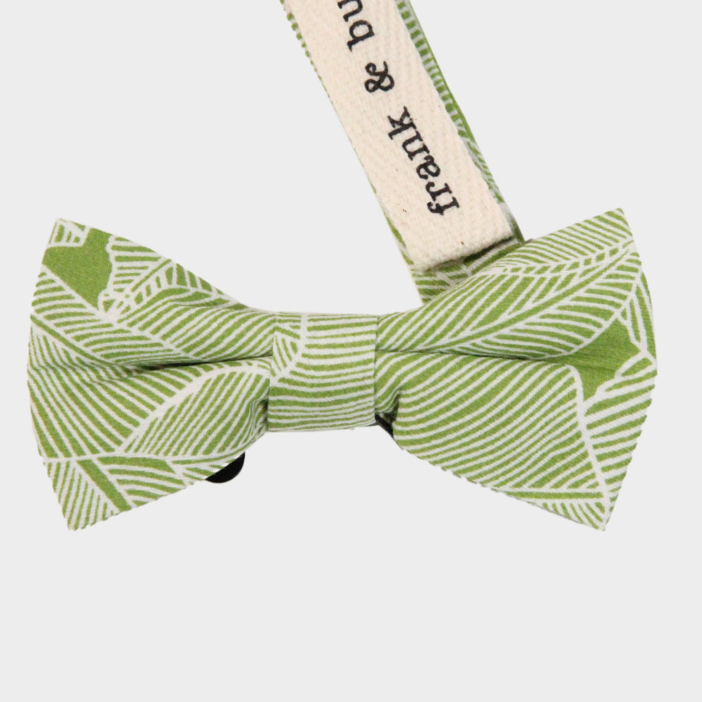 SHANE || BOY BOW TIE - Boy's Bow Tie