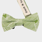 SHANE || BOY BOW TIE - Boy's Bow Tie