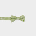 SHANE || BOY BOW TIE - Boy's Bow Tie