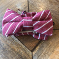 CHARLES || BOY BOW TIE - Boy's Bow Tie