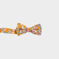 WINCHESTER || BOY BOW TIE - Boy's Bow Tie