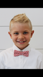 TOMMY || BOY BOW TIE - Boy's Bow Tie